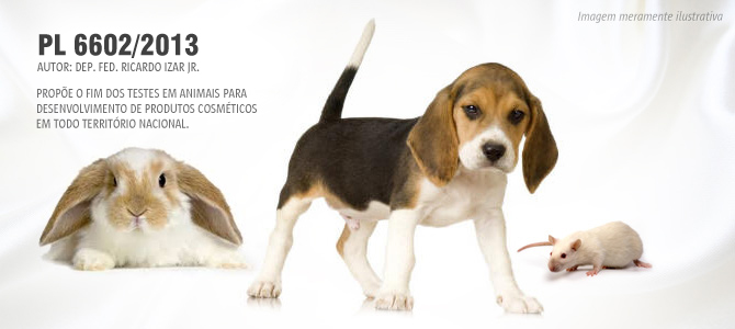 Proposta para proibir testes em animais para produtos cosméticos em todo Brasil avança no Congresso Nacional