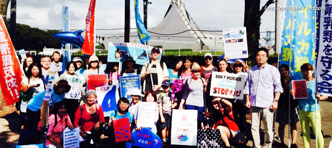 Tóquio: ativistas japoneses protestam contra a matança de golfinhos em Taiji