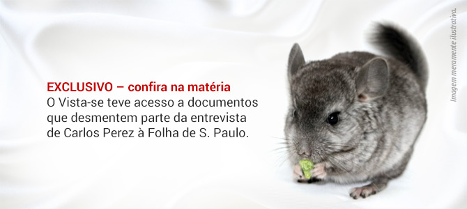 Maior matador de chinchilas do Brasil admite: “Acabou para nós.” – mas pode ser blefe