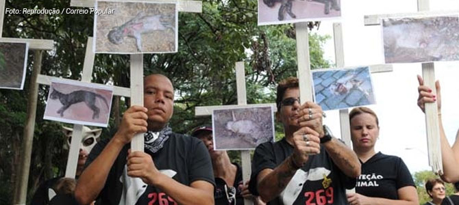 Campinas-SP: manifestantes fazem caminhada contra a matança de animais no Parque Taquaral