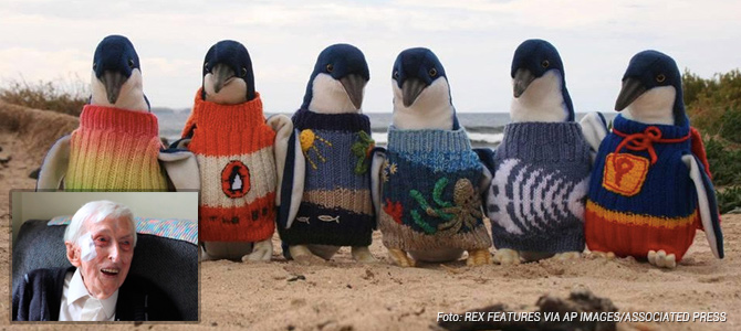 Aos 109 anos, senhor mais idoso da Austrália tricota casaquinhos para pinguins resgatados