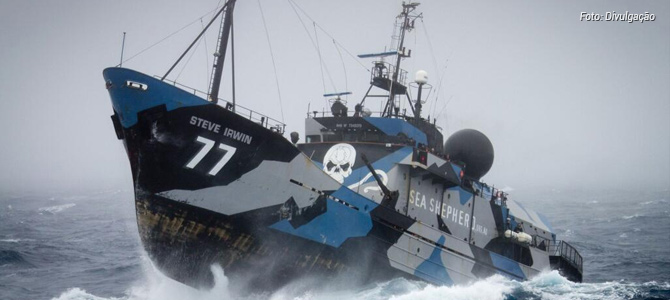 01/03 | São Paulo: evento da Sea Shepherd terá exposição, palestra e sanduíches veganos