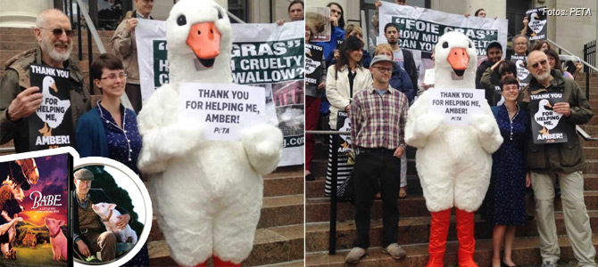 Ator James Cromwell, do filme ‘Babe’, protesta na calçada contra prisão de ativista vegana
