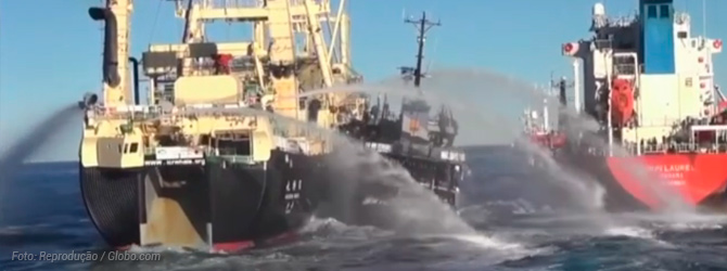 Reportagem sobre ação histórica da ONG Sea Shepherd foi ao ar no Fantástico