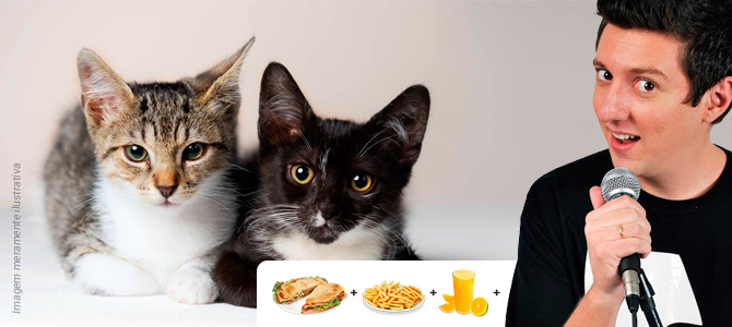 27/09 | SP: evento para ajudar gatos resgatados terá comida vegana e show de humor stand up