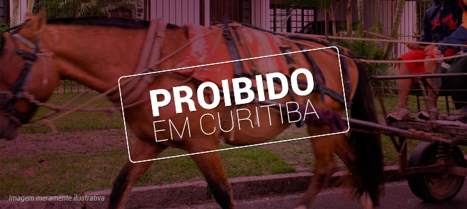 Curitiba sanciona lei que proíbe charretes e outros veículos de tração animal no município