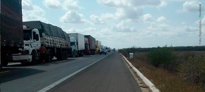 Liderança da greve dos caminhoneiros diz que caminhões com animais não devem ser barrados