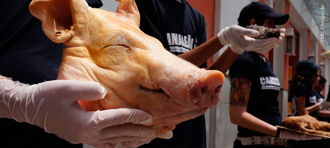 ONG expõe animais mortos em praça de Taubaté para conscientizar sobre o veganismo