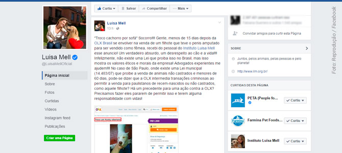 Em página com 2,3 milhões de seguidores, Luisa Mell questiona anúncios com animais na OLX