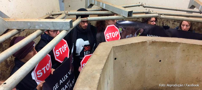 Ativistas franceses ocupam matadouro bovino e impedem funcionamento do local por 6 horas
